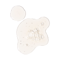 rdn-lactic-acid-10pct-ha-30ml-swatch